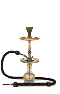 Gif animé chicha 